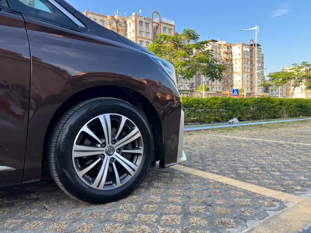 GAC Motor Trumpchi M8 2019 — фото 16