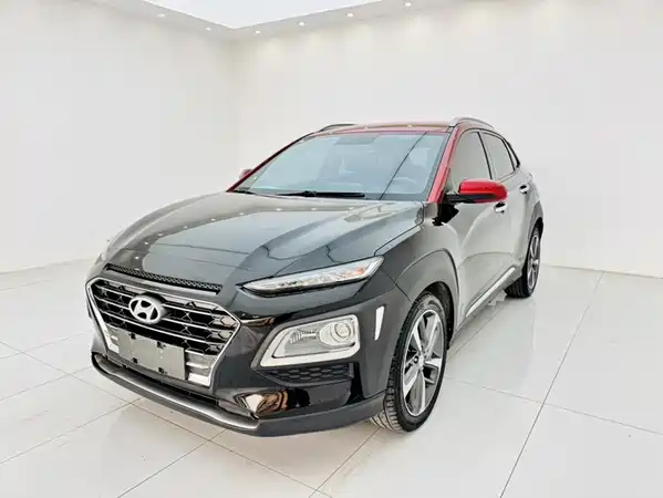 Hyundai ENCINO 2019