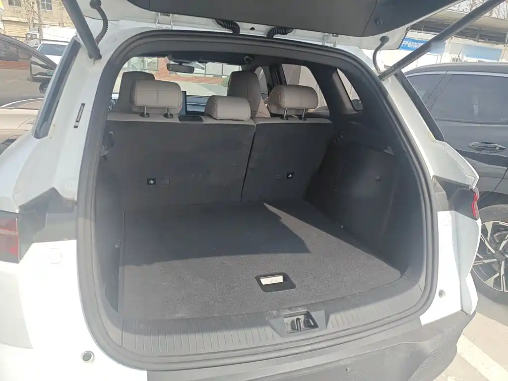 BYD Song Pro New Energy 2025 — фото 15