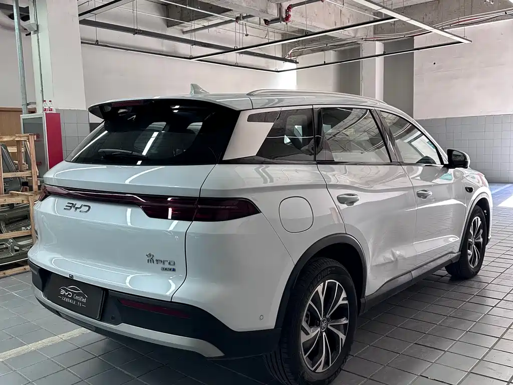 BYD Pro New Energy 2025 — фото 12
