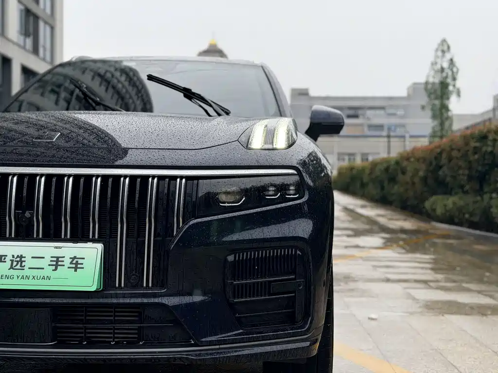 Lynk & Co 09 EM-P 2023 — фото 4