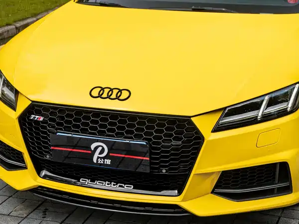 Audi TTS 2018