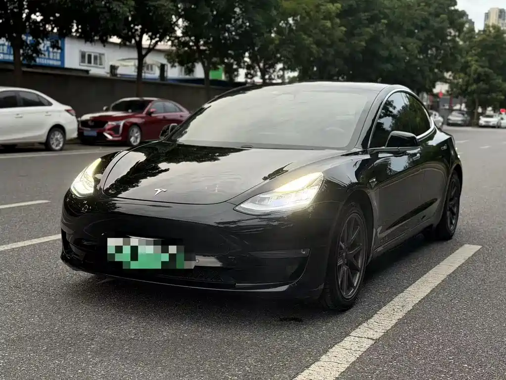 Tesla Model 3 2020