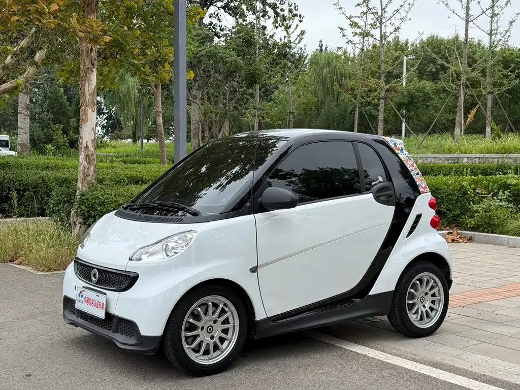 smart fortwo 2014 — фото 1