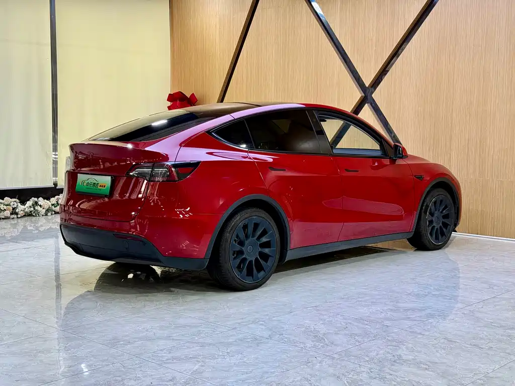 Tesla Model Y 2023 — фото 18