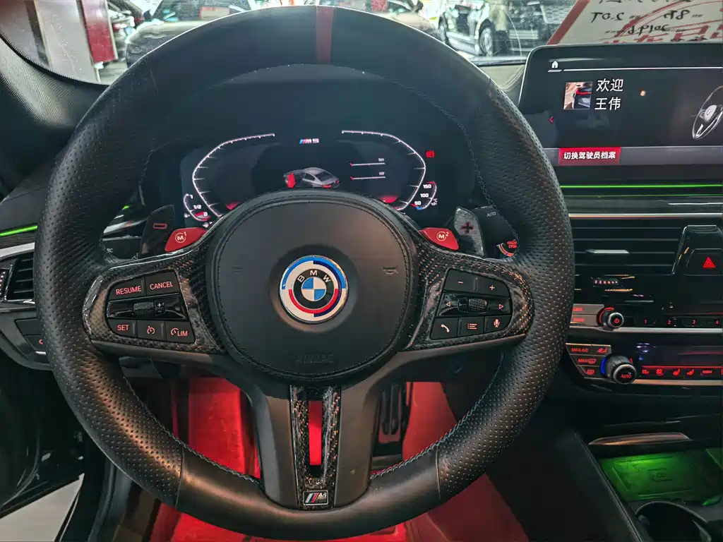 BMW 5 Series 2019 — фото 10