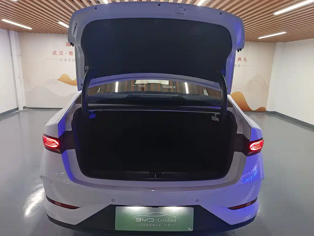 BYD Qin PLUS 2025 — фото 14