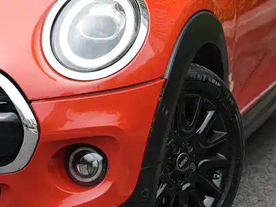 MINI MINI 2021