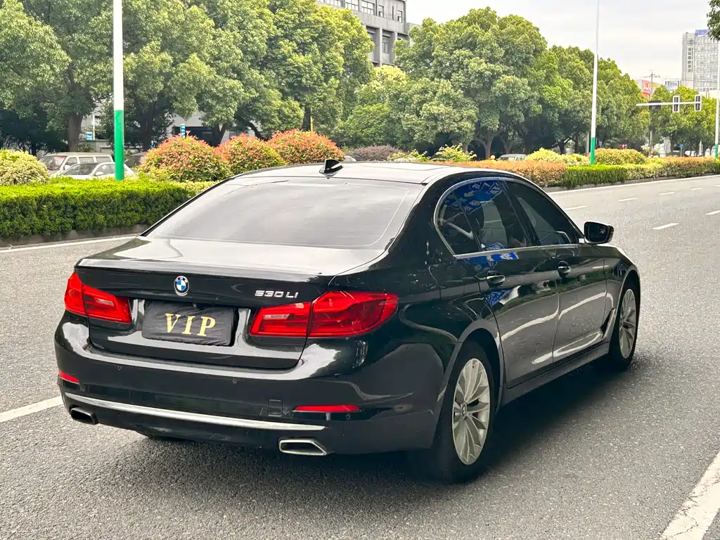 BMW 5 Series 2020 — фото 6