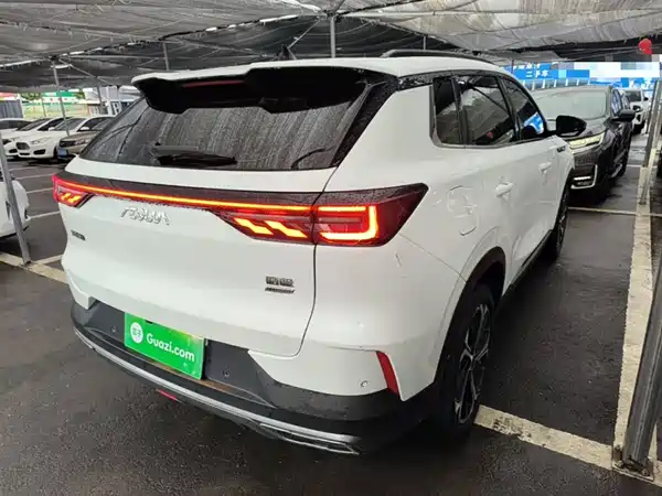 Dongfeng Haoji 2022