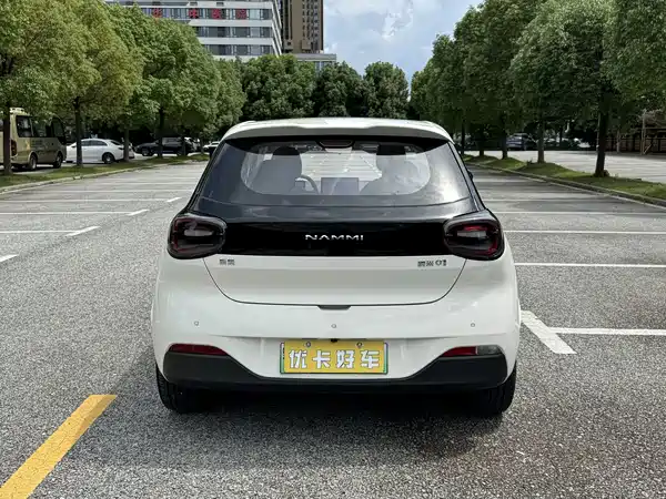 Dongfeng Nano 01 2025