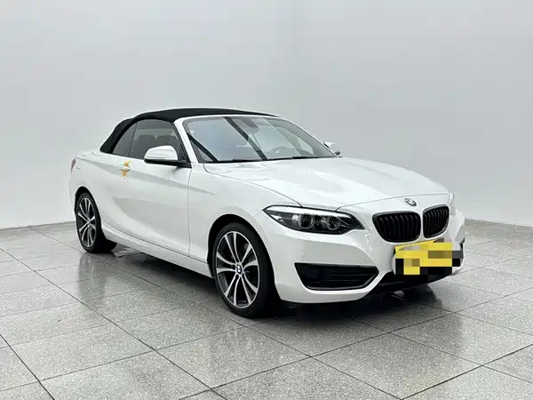 BMW 2 Series 2019