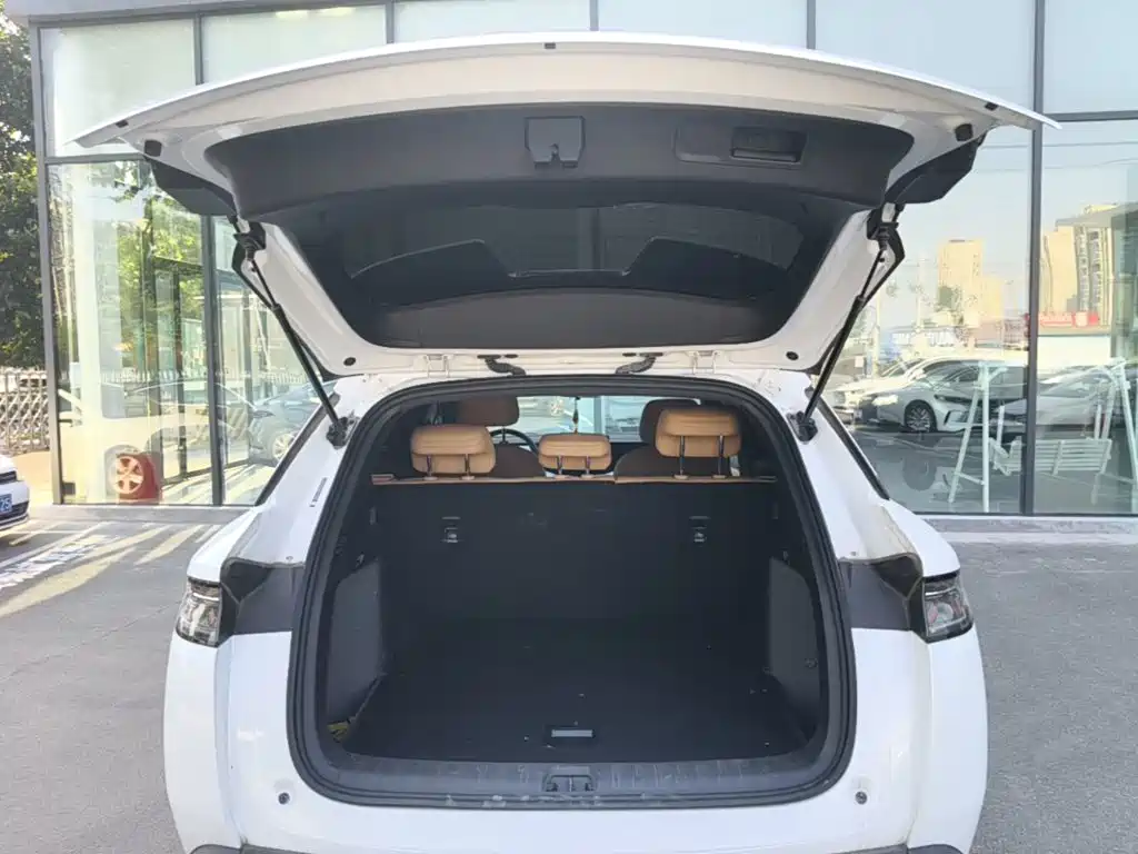 BYD L DM-i 2024 — фото 19
