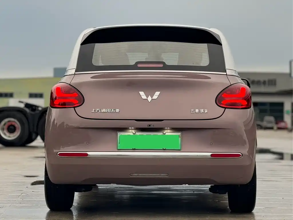 Wuling Bingo 2024