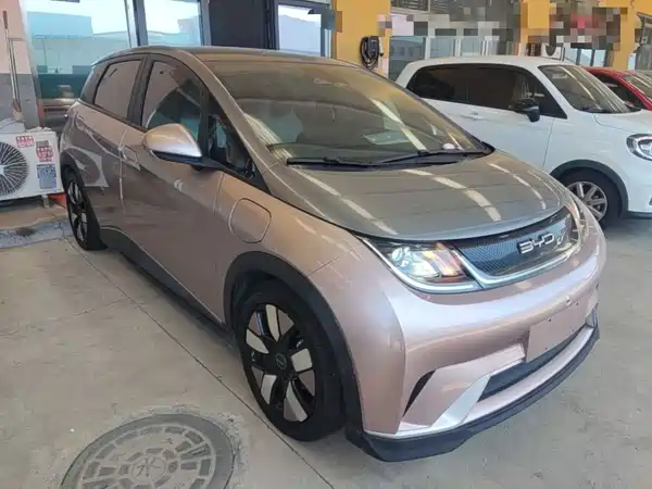 BYD Dolphin 2022