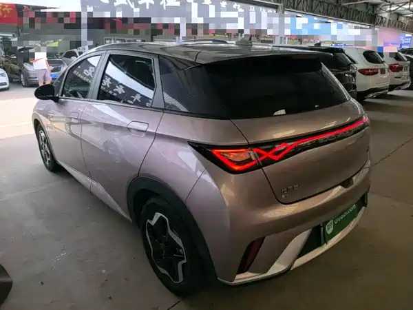 BYD Dolphin 2022