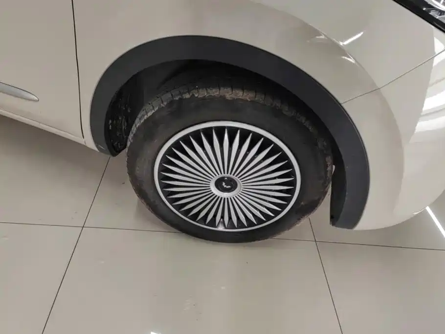 Wuling Bingo 2024