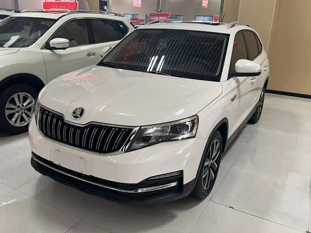 Skoda Kamiq 2019 — фото 8