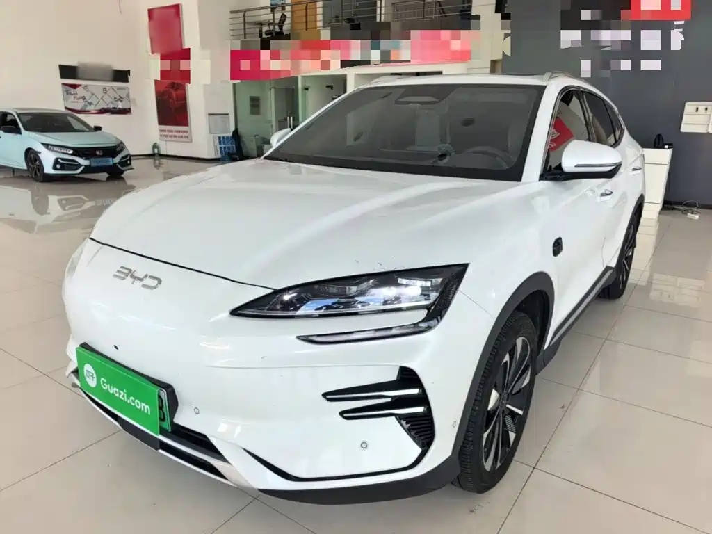 BYD Song PLUS New Energy 2025 — фото 2