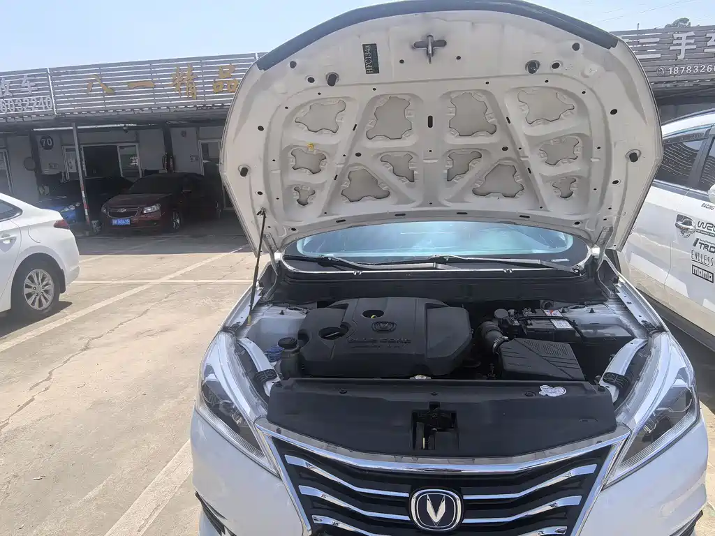 Changan Eado DT 2020 — фото 15