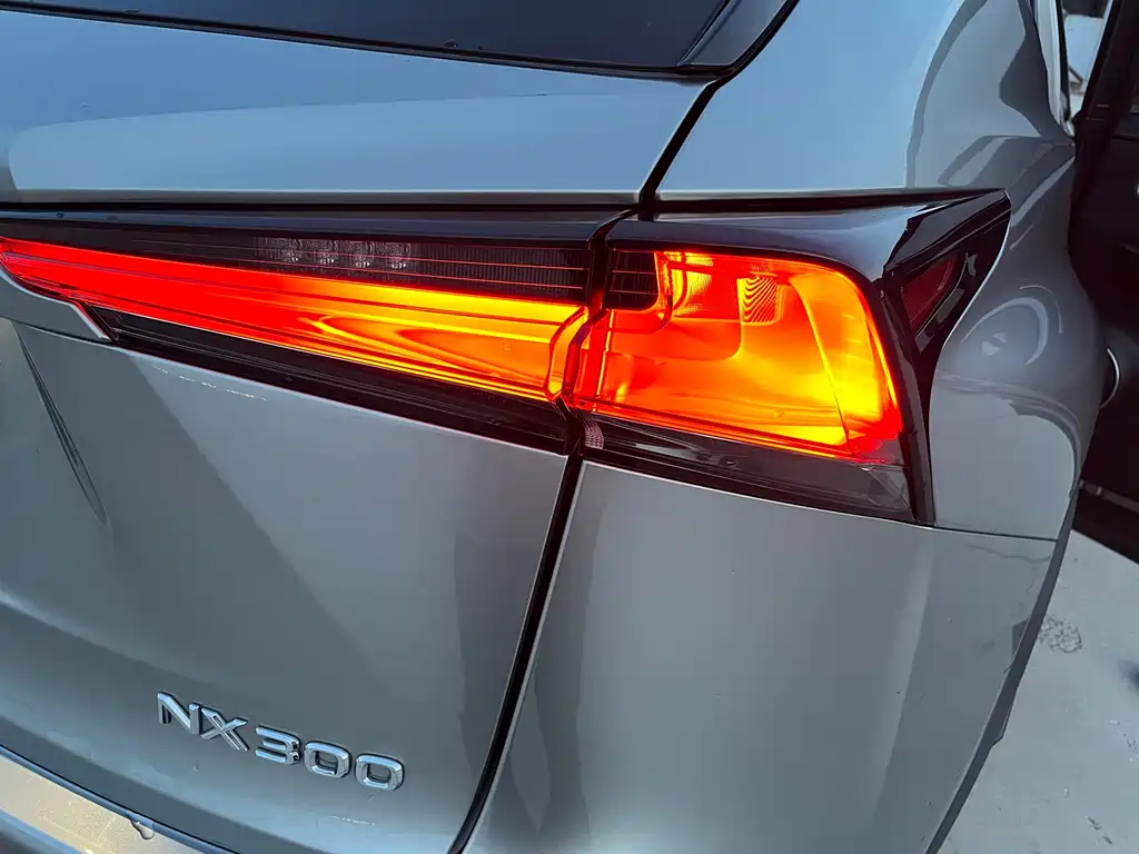 Lexus NX 2018 — фото 55