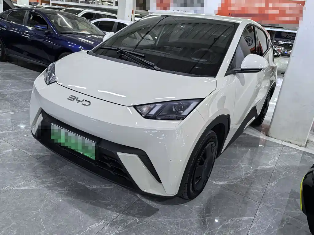 BYD Seagull 2024