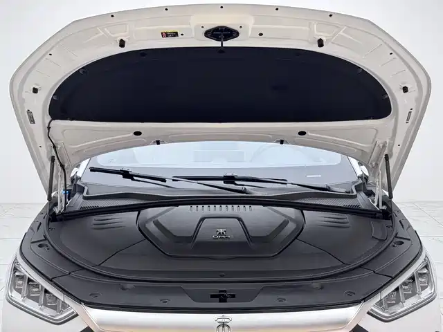BYD PLUS New Energy 2022 — фото 13