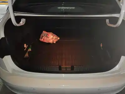 Volkswagen Sagitar 2019