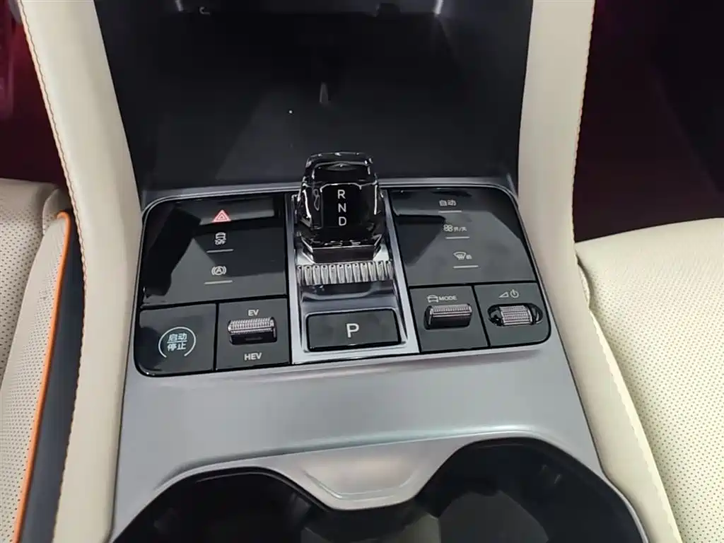 BYD PLUS New Energy 2024 — фото 14