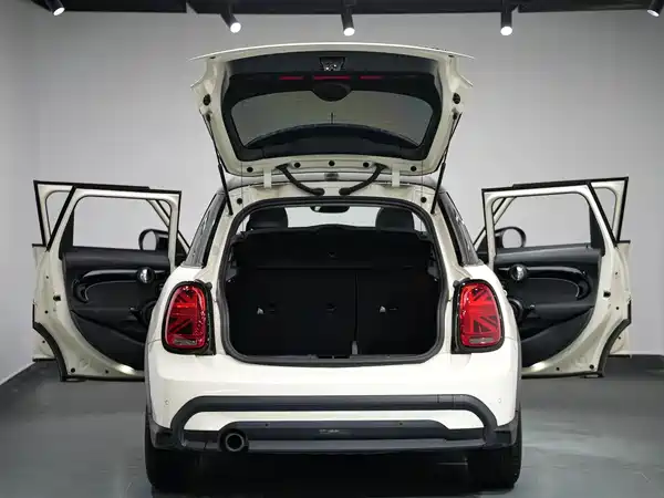 MINI 2022