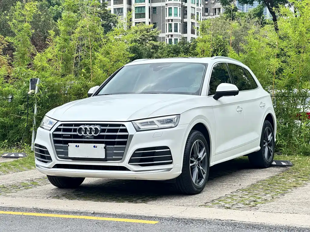Audi Q5L 2020 — фото 1