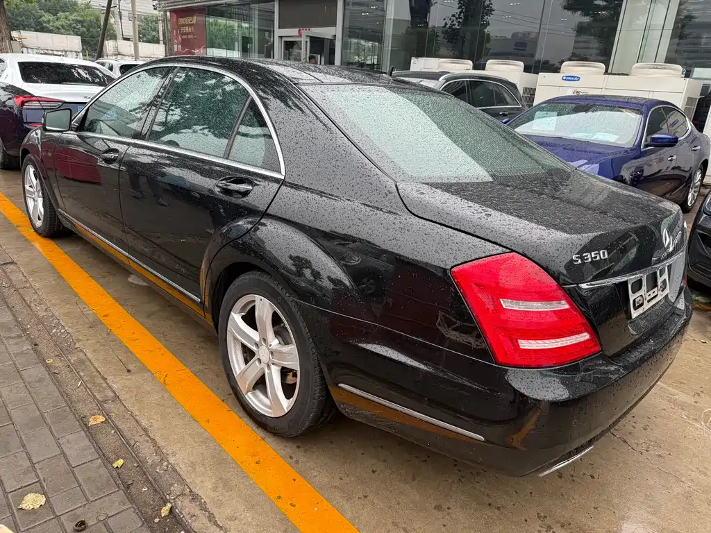 Mercedes-Benz S-Class 2010 — фото 14