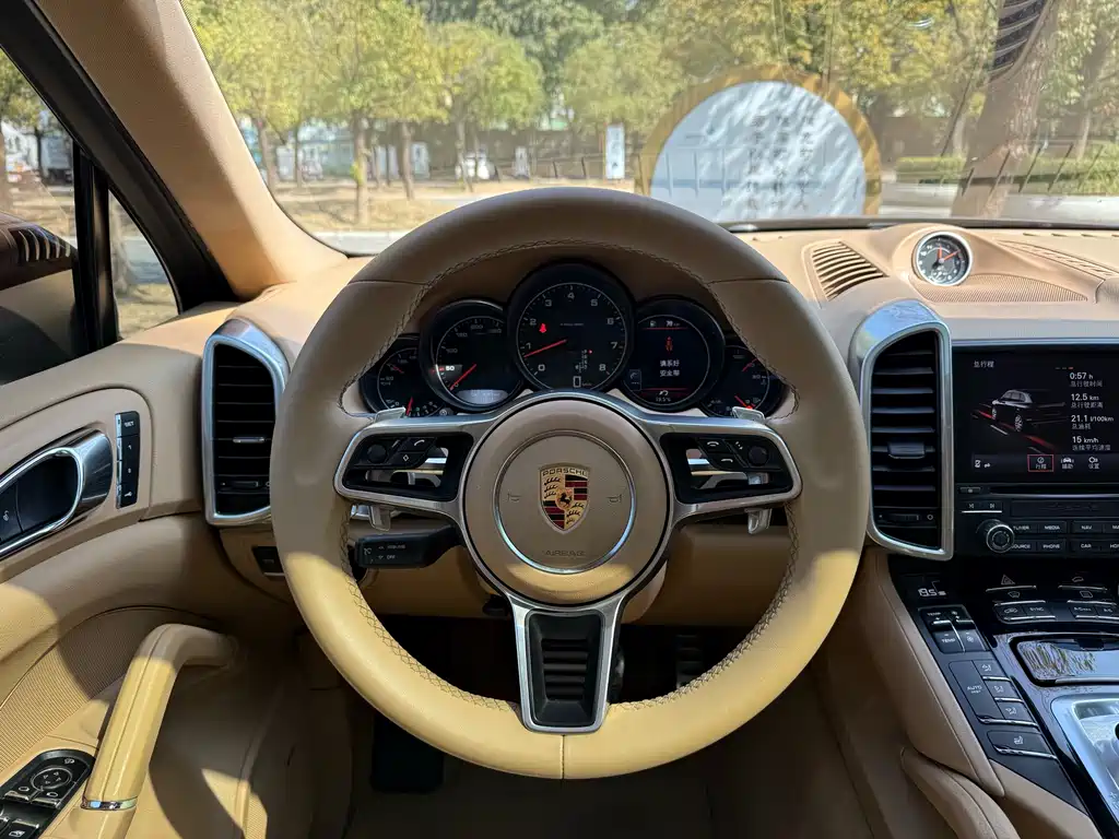 Porsche Cayenne 2016 — фото 10
