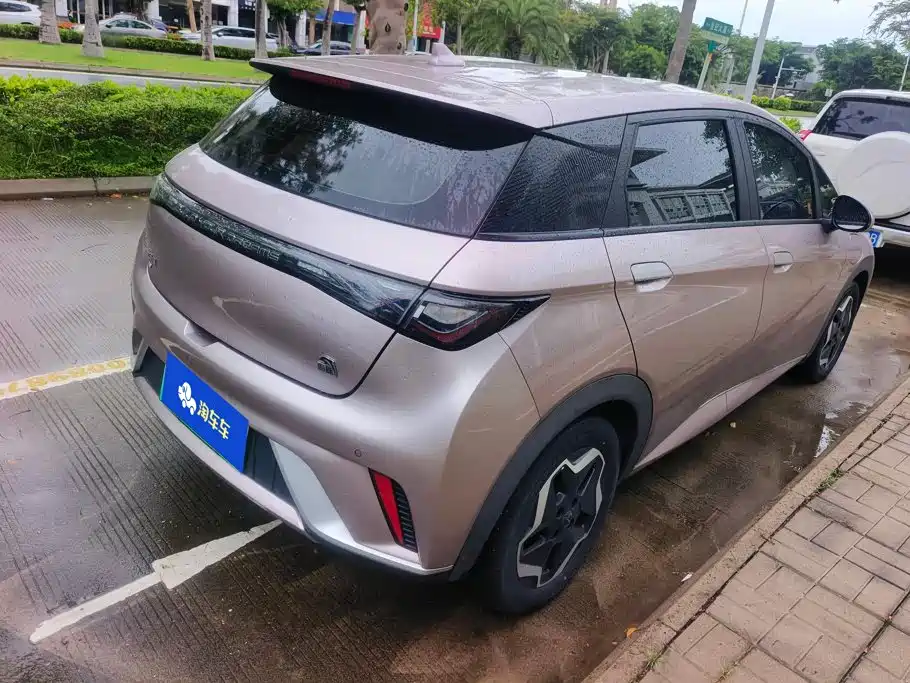 BYD Dolphin 2022