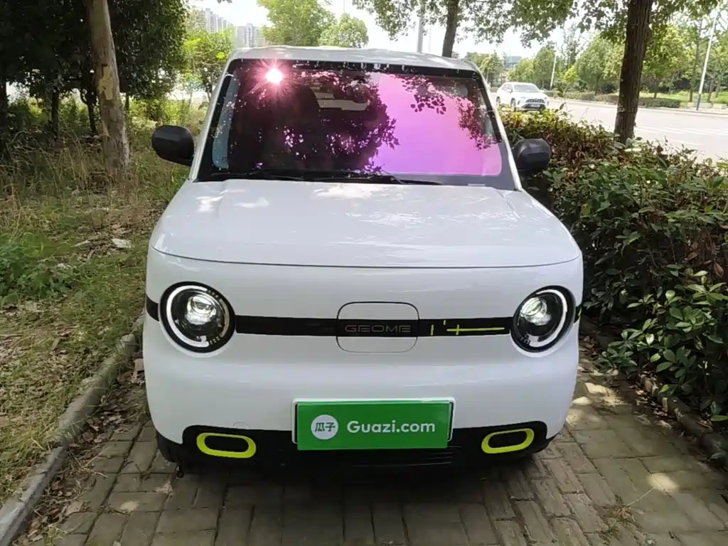 Galaxy Panda 2025