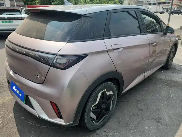 BYD Dolphin 2022