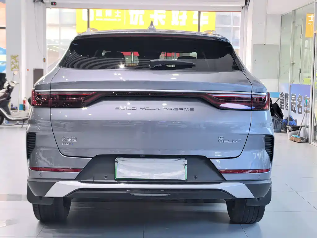 BYD PLUS New Energy 2023 — фото 14