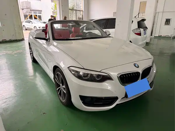 BMW 2 Series 2018