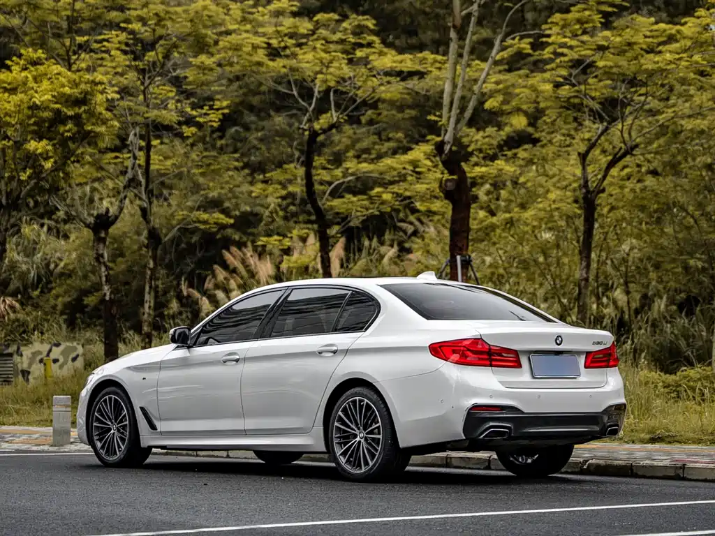 BMW 5 Series 2019 — фото 13