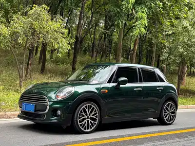 MINI MINI 2018