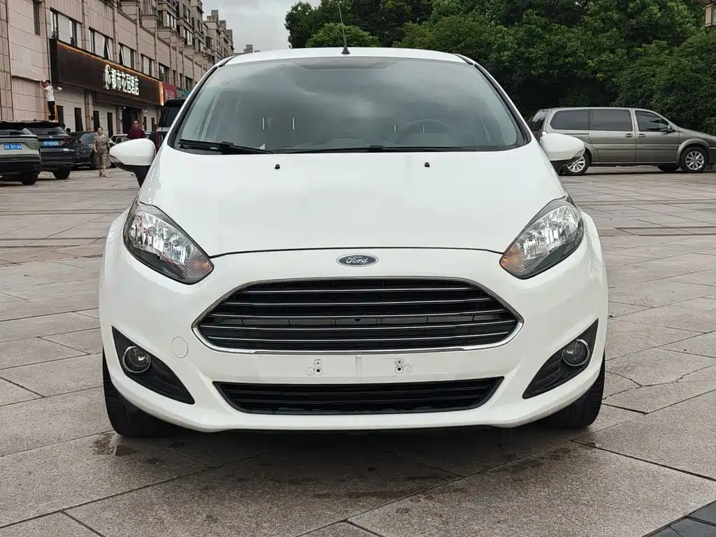 Ford Fiesta 2014 — фото 2
