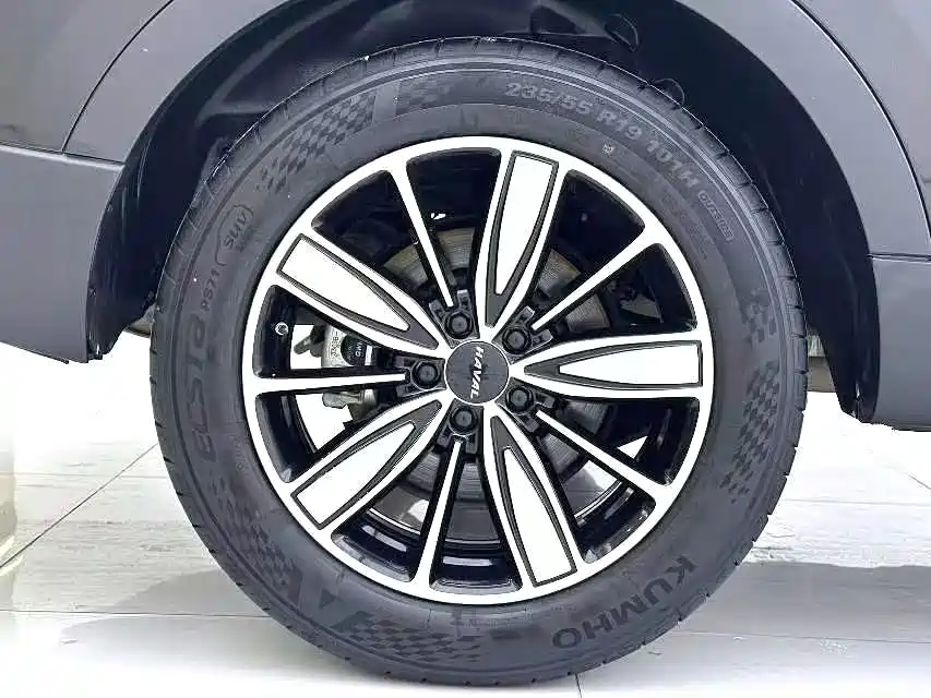 Haval H6 2023 — фото 24