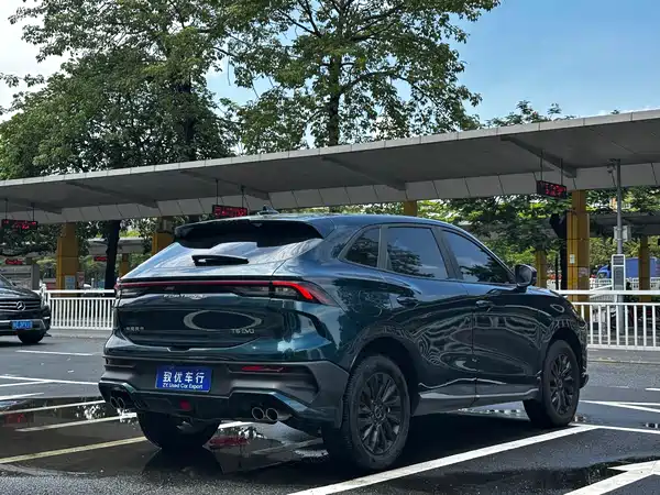 Dongfeng Fengxing T5 EVO 2024