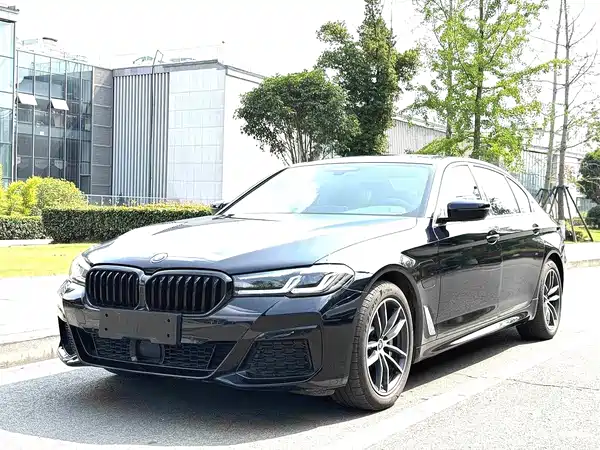 BMW 5 Series New Energy 2022