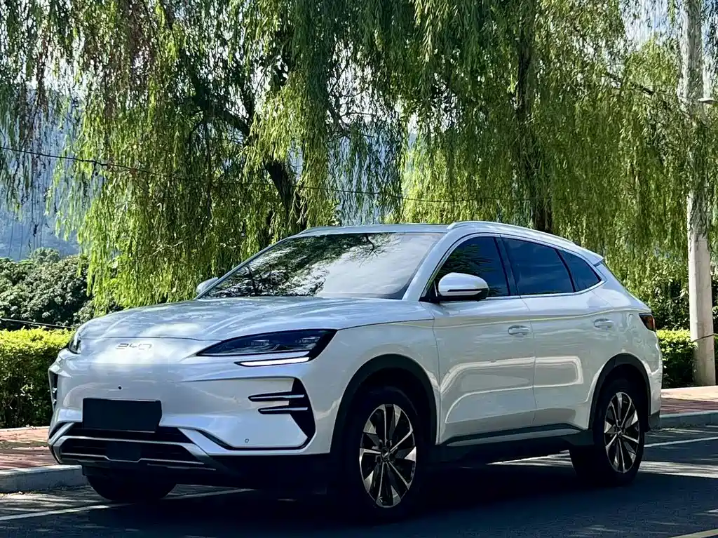 BYD Song PLUS New Energy 2025 — фото 1