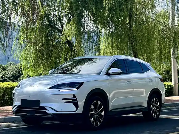 BYD Song PLUS New Energy 2025