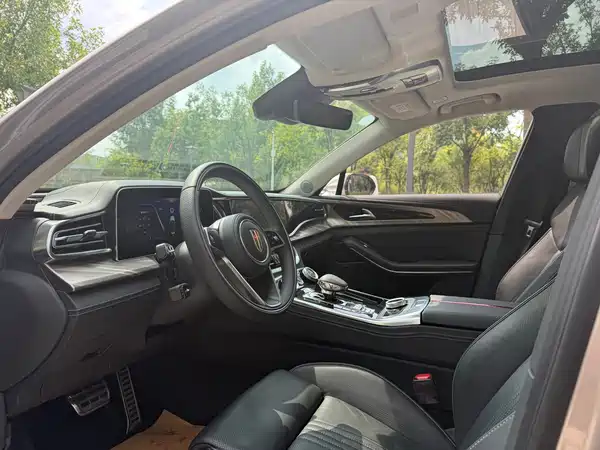 Hongqi H9 2020