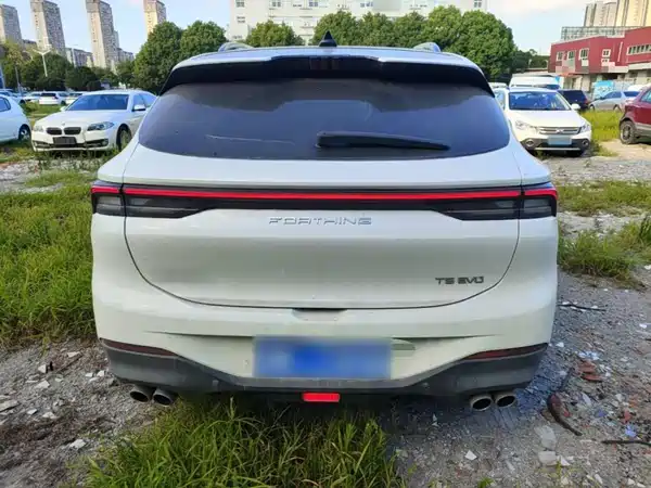 Dongfeng Fengxing T5 EVO 2021