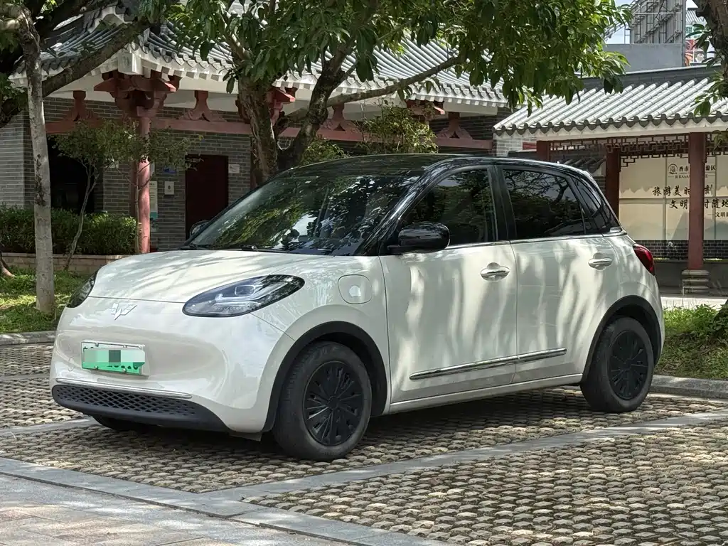 Wuling Bingo 2024