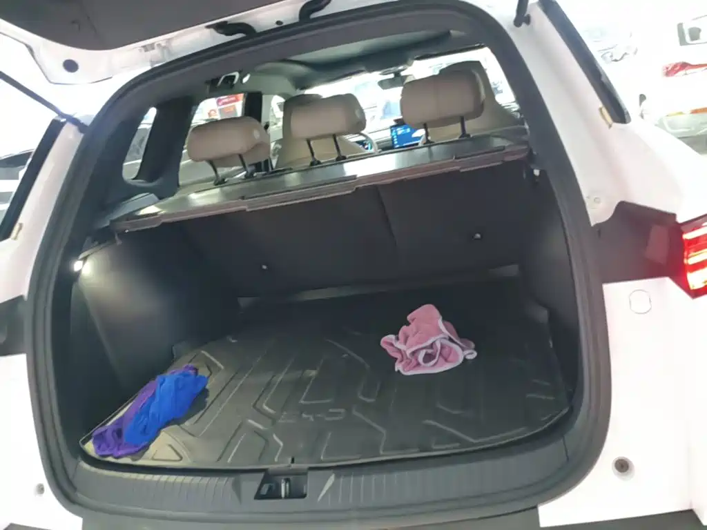 BYD Song Pro New Energy 2024 — фото 19
